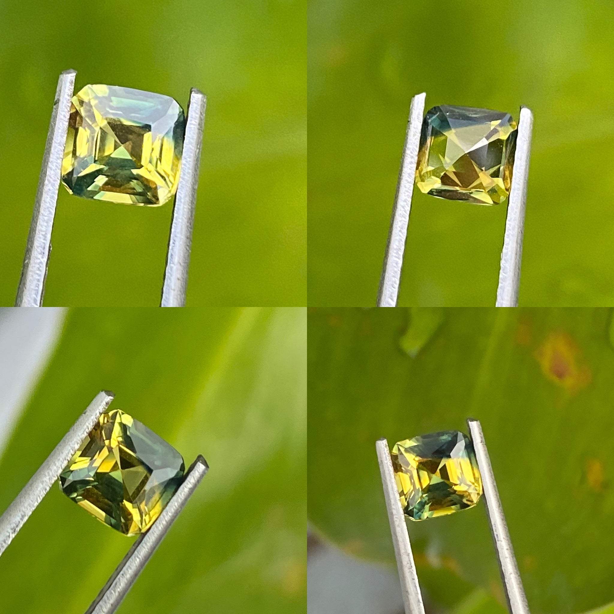 Australian Bi Color Sapphire 1.11 CT