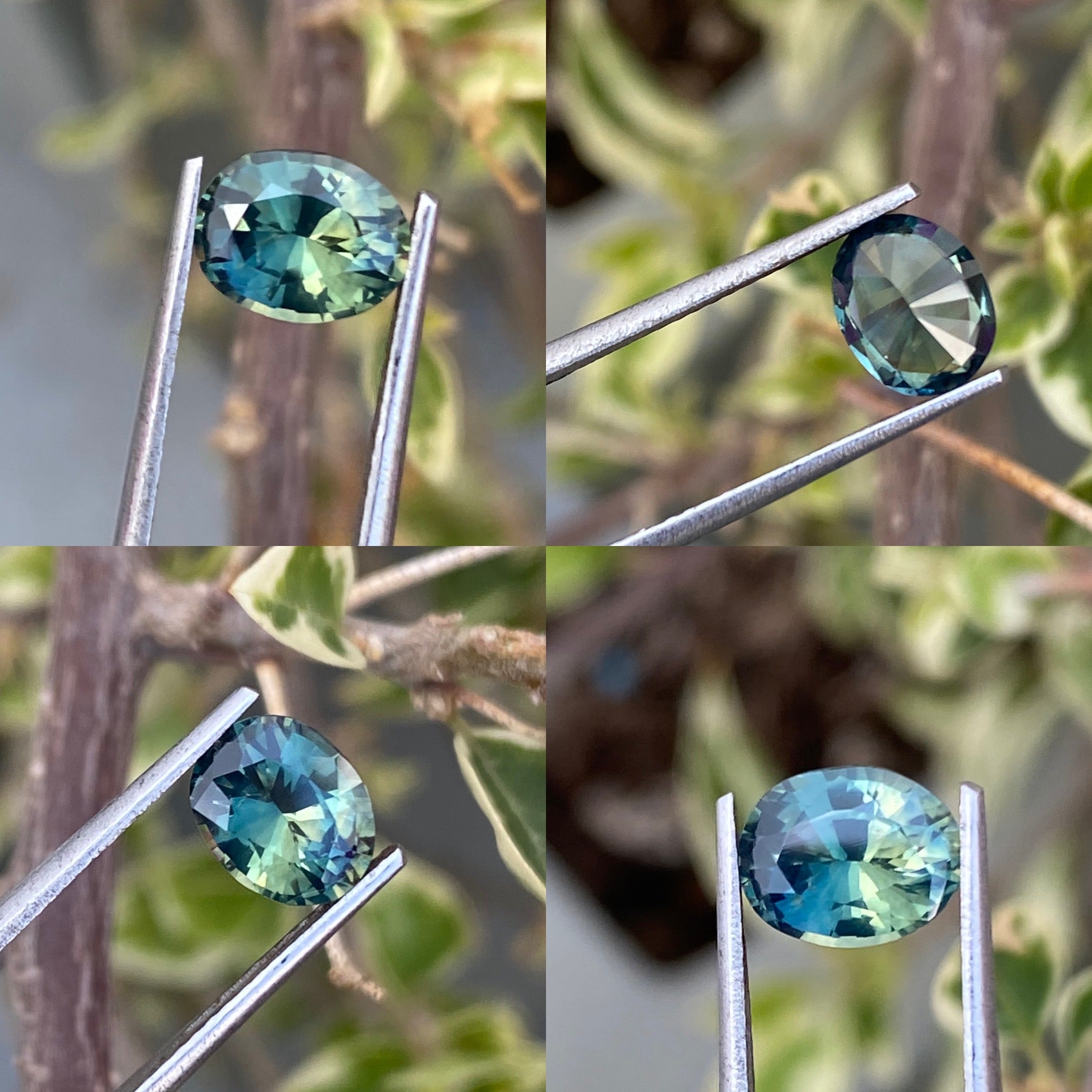 Natural Parti Sapphire 1.25 CT