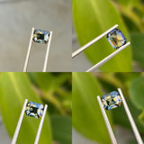 Bi - Colour  Sapphire 1.17 carats