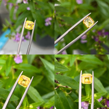 Yellow Sapphire 1.54 carats