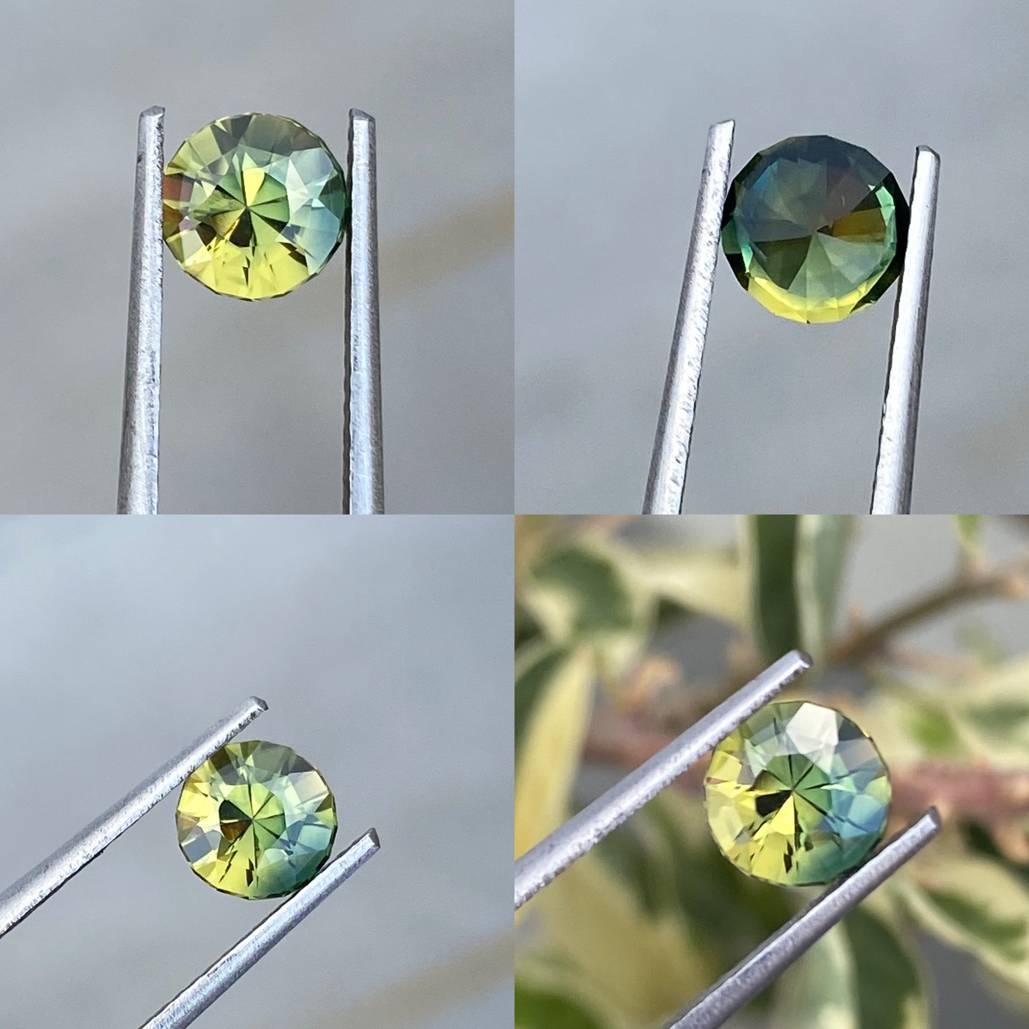 Australian Parti Sapphire 1.25 carats
