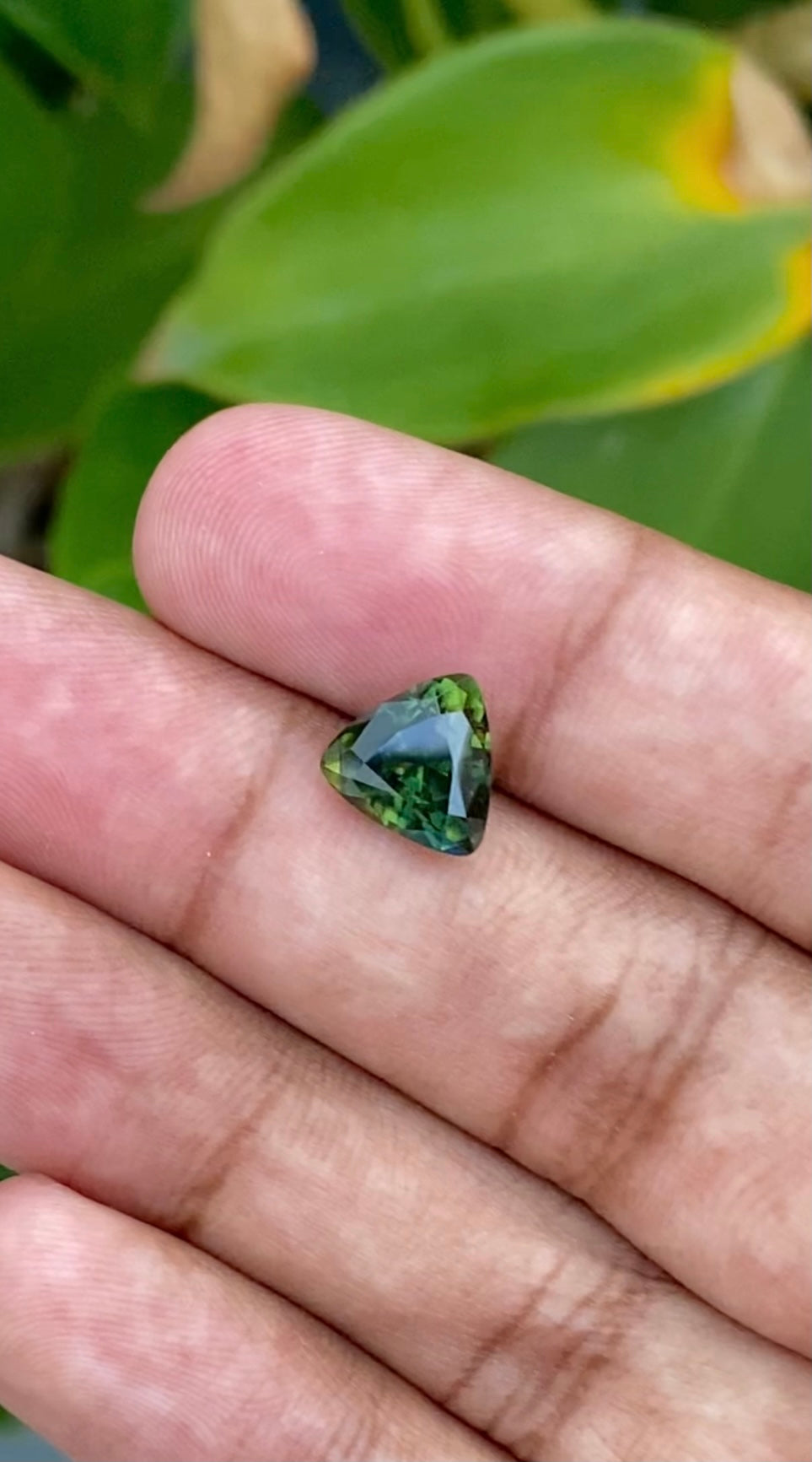 Australian Parti Sapphire 3.62 CT
