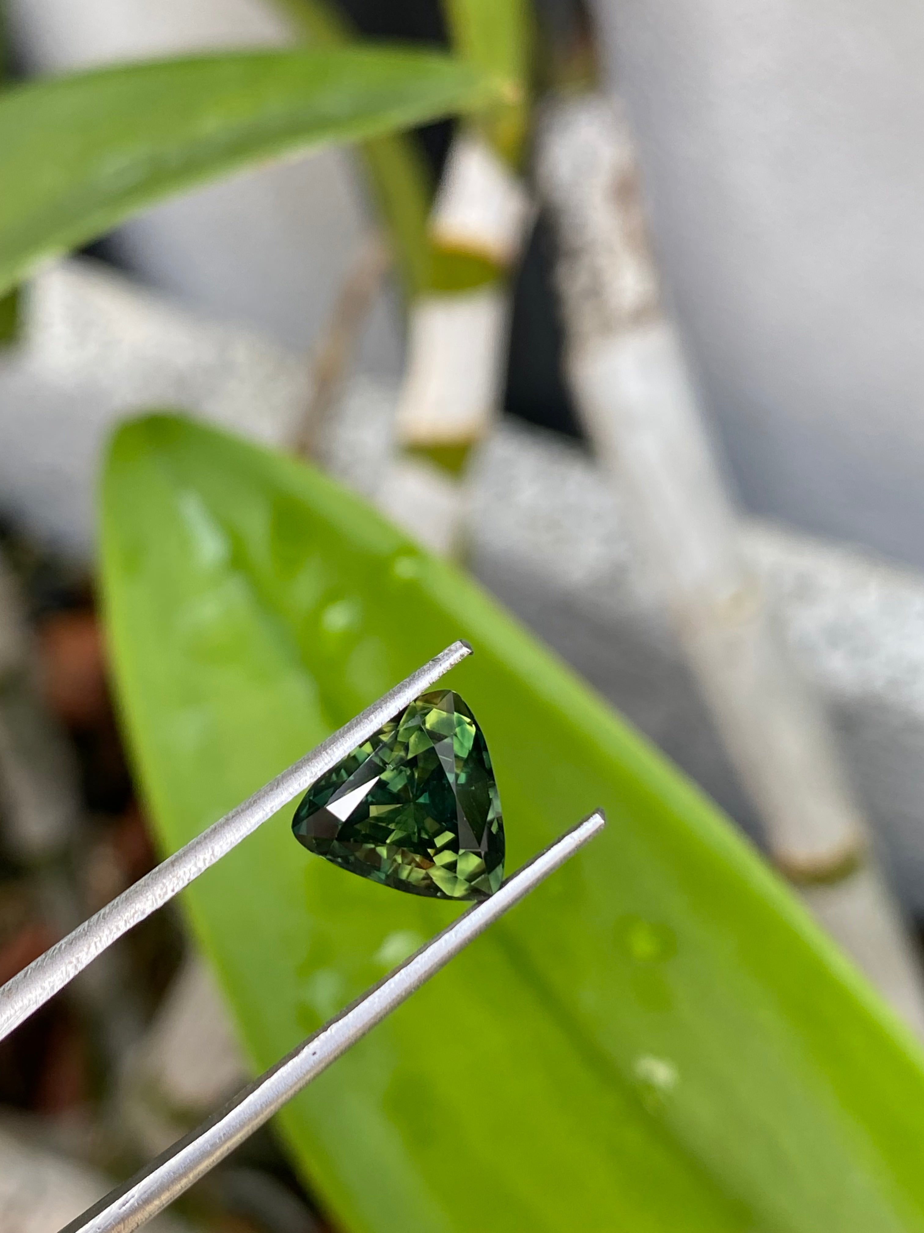 Australian Parti Sapphire 3.62 CT