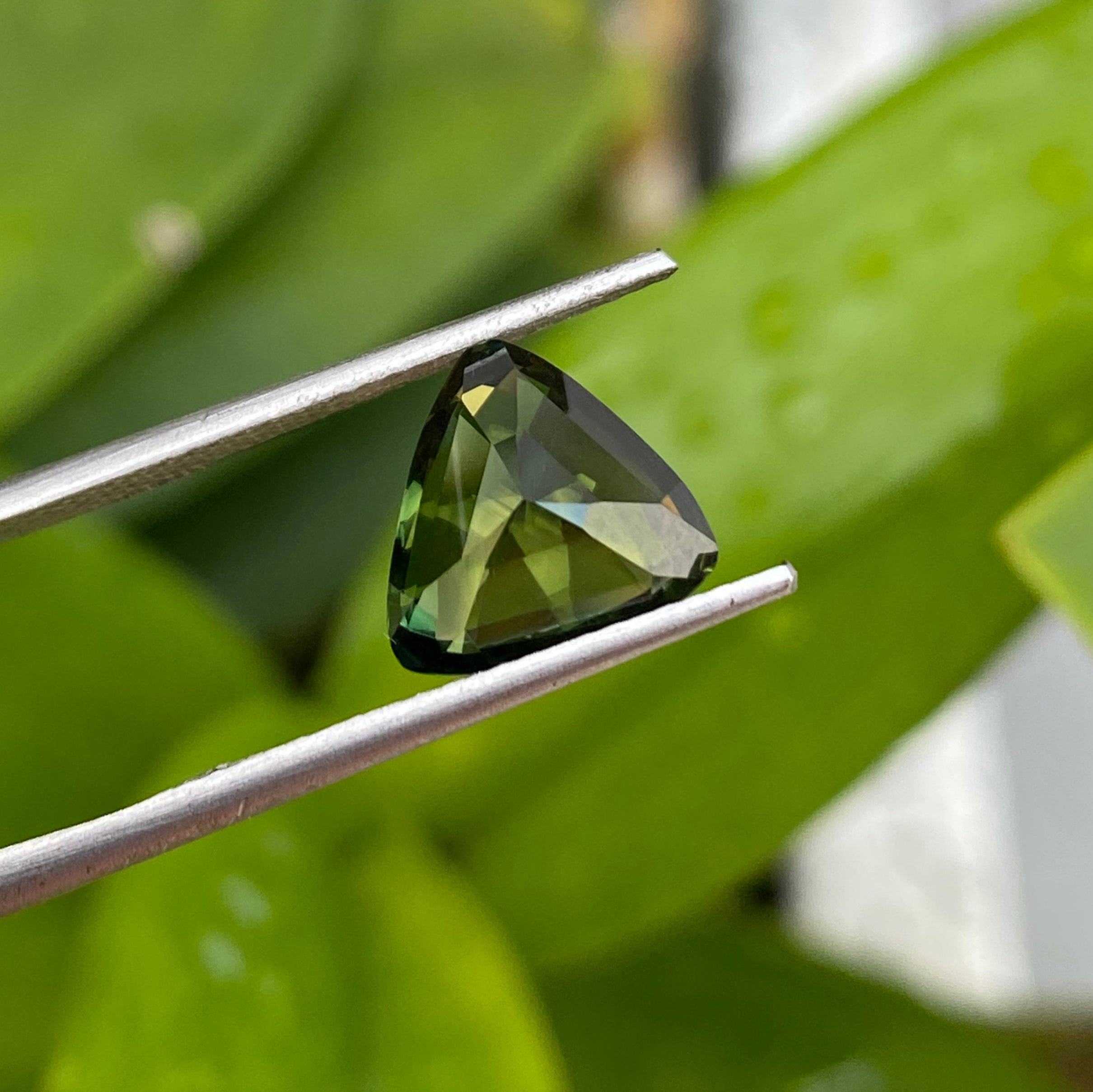 Australian Parti Sapphire 3.62 CT