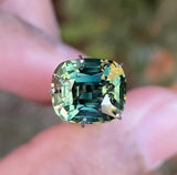 Parti Sapphire 4.09 carats